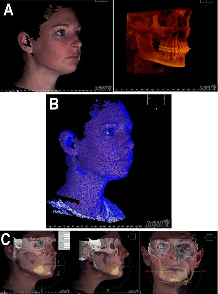 An external file that holds a picture, illustration, etc., usually as some form of binary object. The name of referred object is rmmj-3-2-e0012_Figure7.jpg